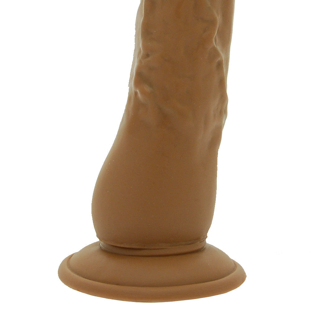 Latin Lover Dong